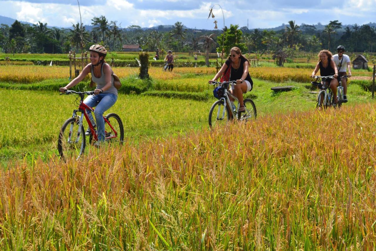 Bali Culture Guesthouse Ubud Dış mekan fotoğraf