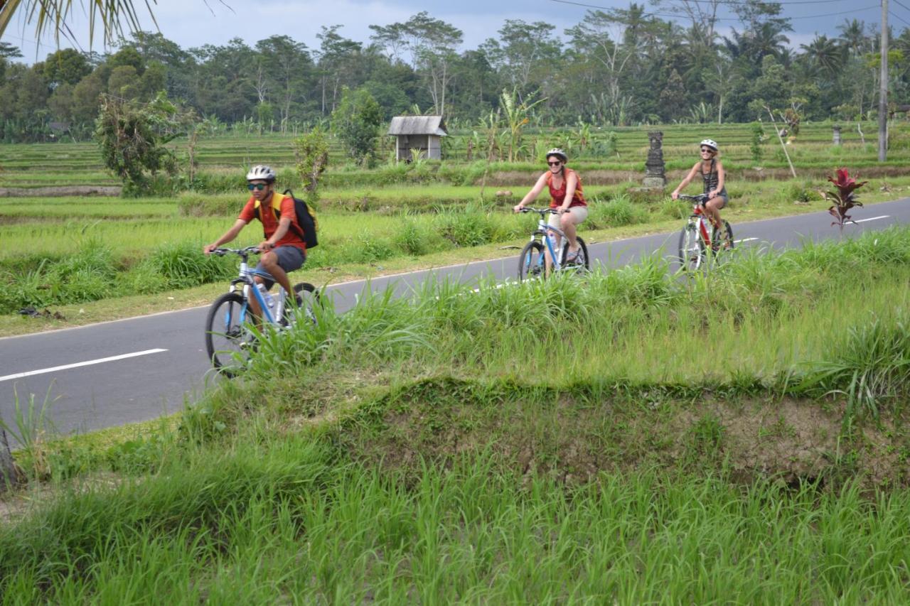 Bali Culture Guesthouse Ubud Dış mekan fotoğraf